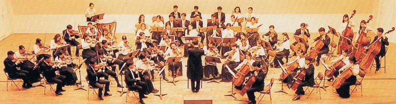 in home violin teacher