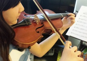 Violin teacher in South Riding